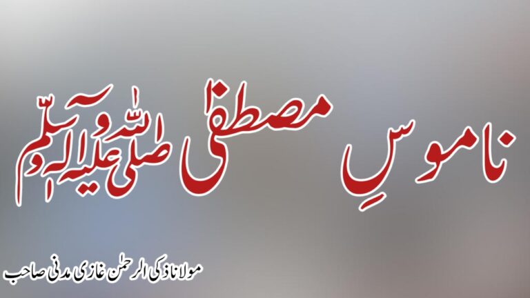 Read more about the article ناموسِ مصطفیﷺ